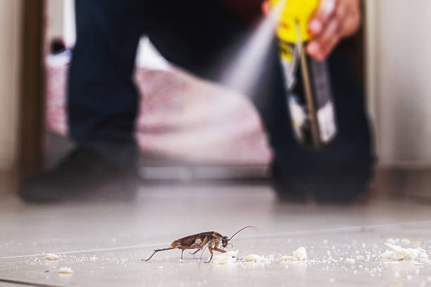 Best Pest Control Treatment  in Stonebridge, NJ